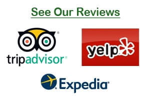 Read Our Reviews • Click Here